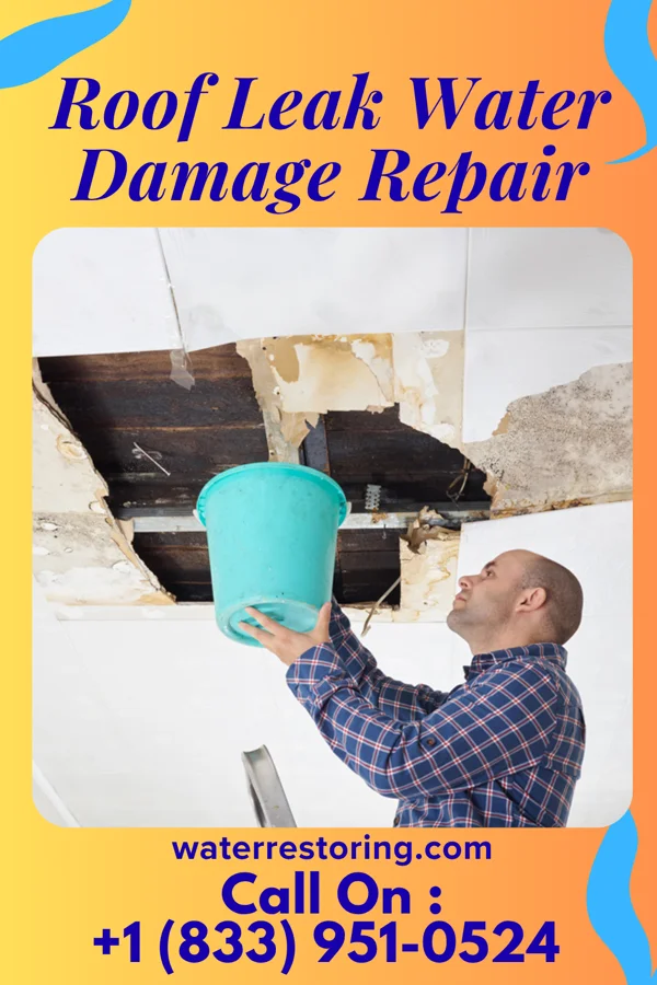Roof Leak Water Damage Repair in Staley, NC