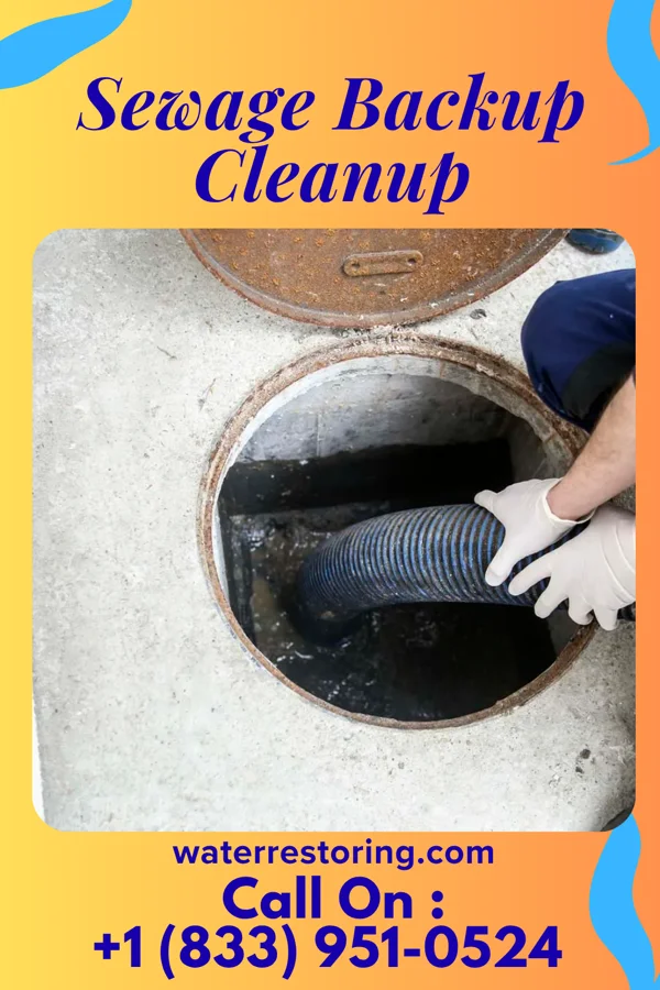 Sewage Backup Cleanup in Staley, NC