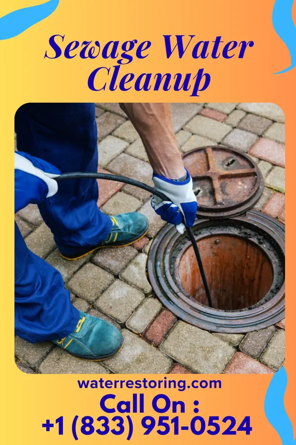 Sewage Water Cleanup in Staley, NC