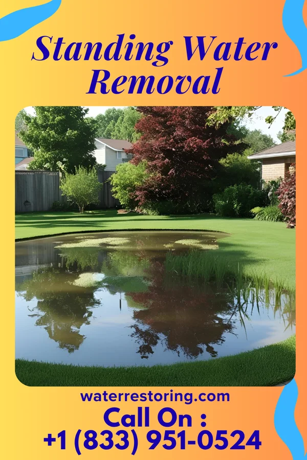 Standing Water Removal in Staley, NC